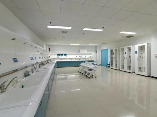 技術、服務、設備與環境 構建完善的綜合技術服務生態